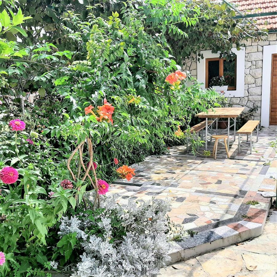 Apartments"Nika" With Private Pool Galovac  Luaran gambar