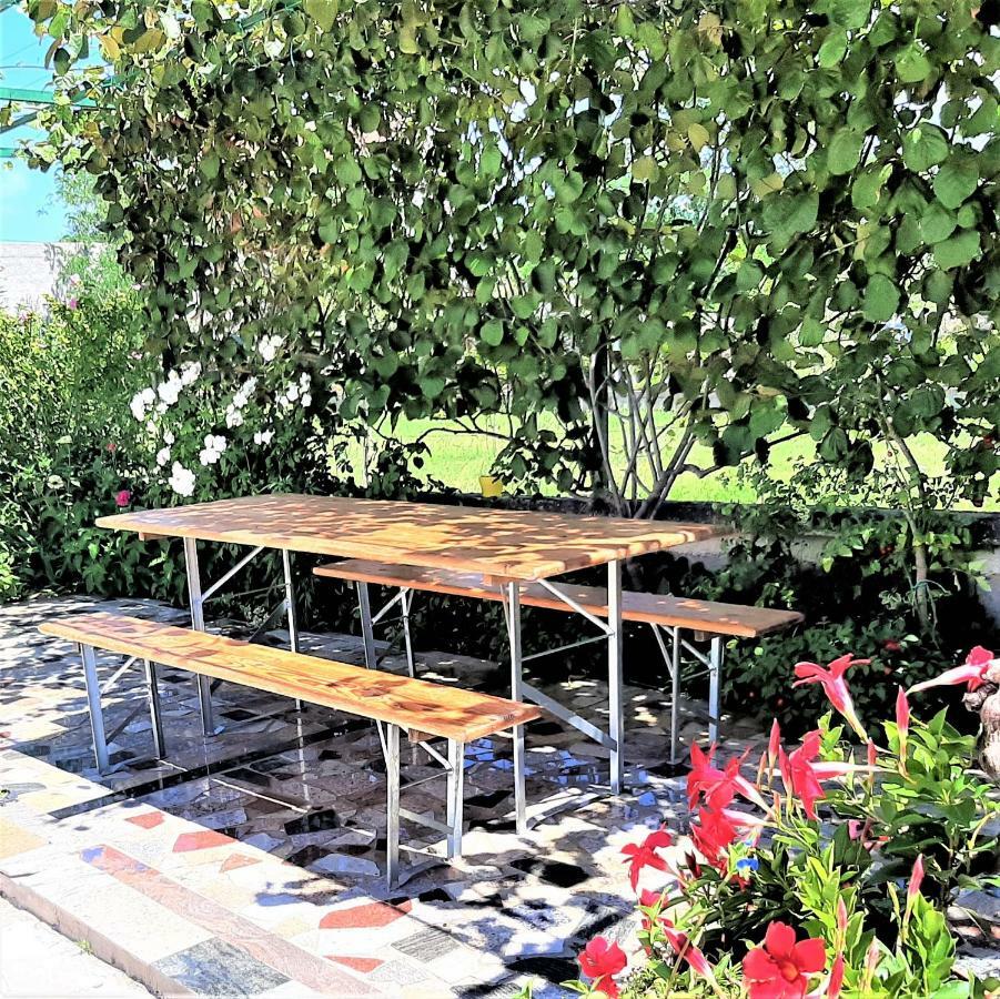 Apartments"Nika" With Private Pool Galovac  Luaran gambar